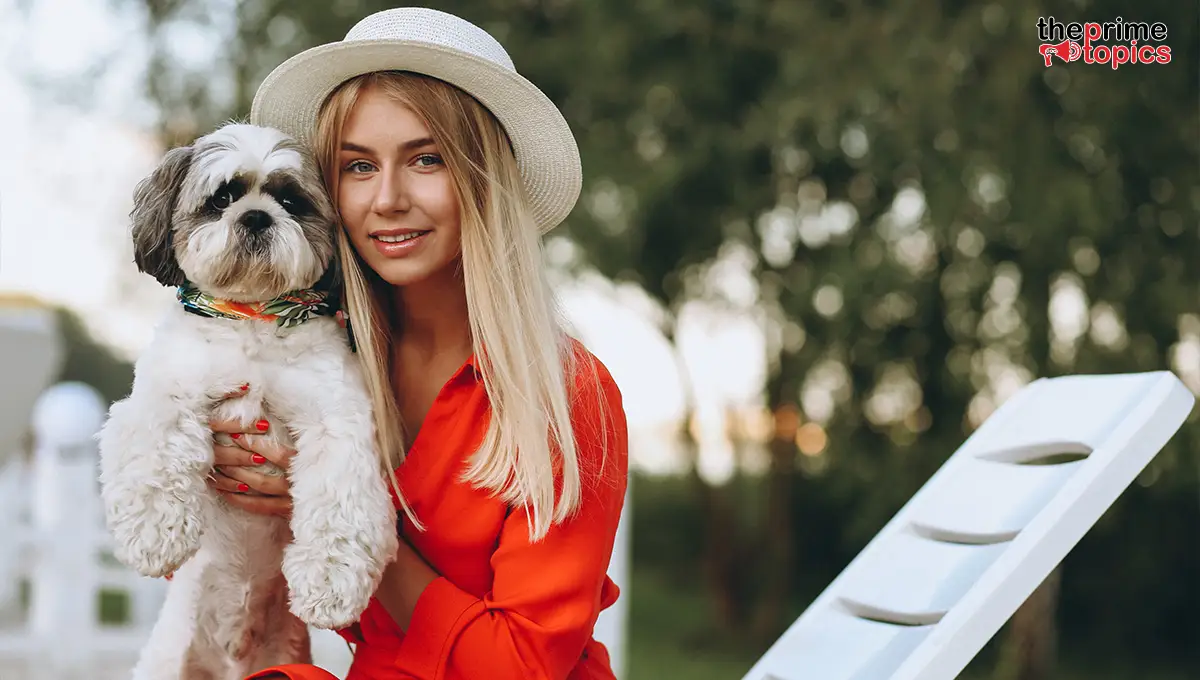 pet friendly holiday parks uk with hot tubs